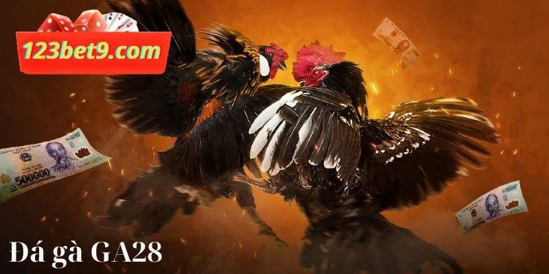 GA28 là sảnh cược đá gà phổ biến tại 123Bet