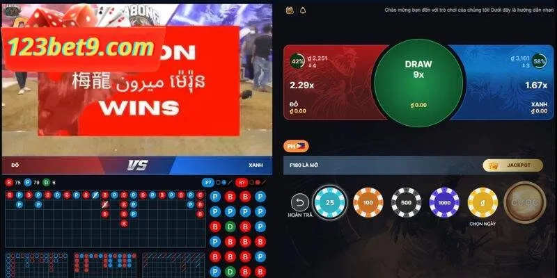 Thủ tục cược chọi gà tại nhà cái 123Bet 